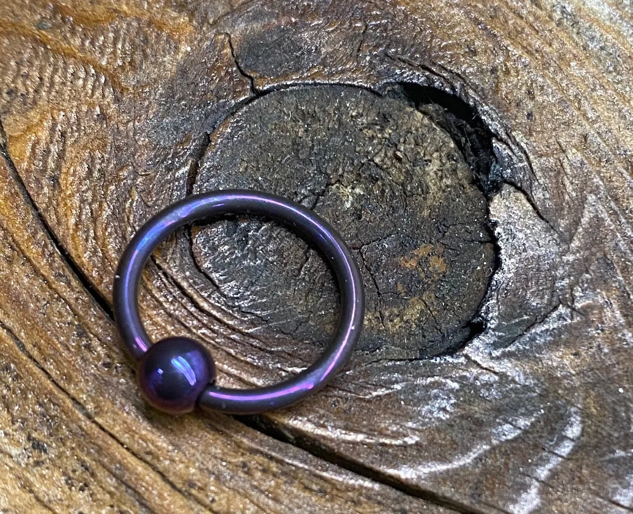 18g Anodized Niobium Captive Bead Rings