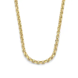 Aidee Pauline 14 karat gold necklace with chains