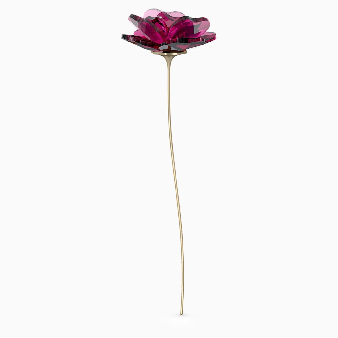 GARDEN TALES - ROSE