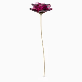 GARDEN TALES - ROSE