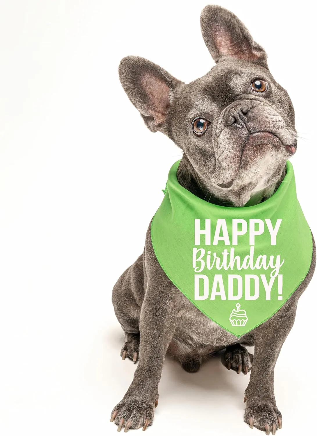 Happy Birthday Daddy! Dog Bandana | 100% Cotton Adjustable Triangle | Made in USA | Birthday Pawty | Party Theme | Celebration Photo Shoot Prop | Mom Dad | Hot Pink, One Size (170)