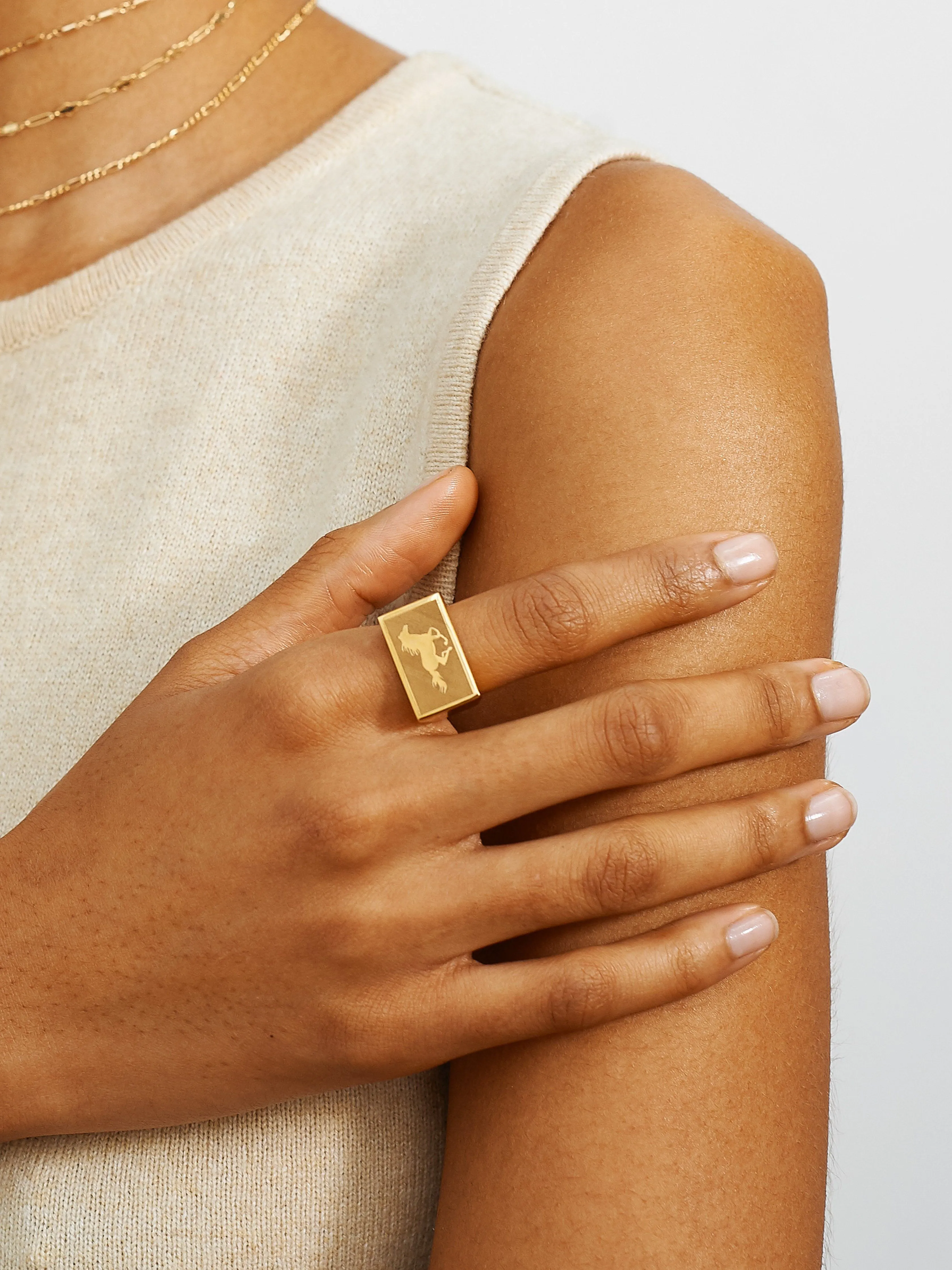 Horse Signet Ring