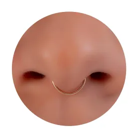 Simple Gold Septum Ring 20G, Tiny Septum Hoop For Women 14k gold filled, hypoallergenic plain septum rings
