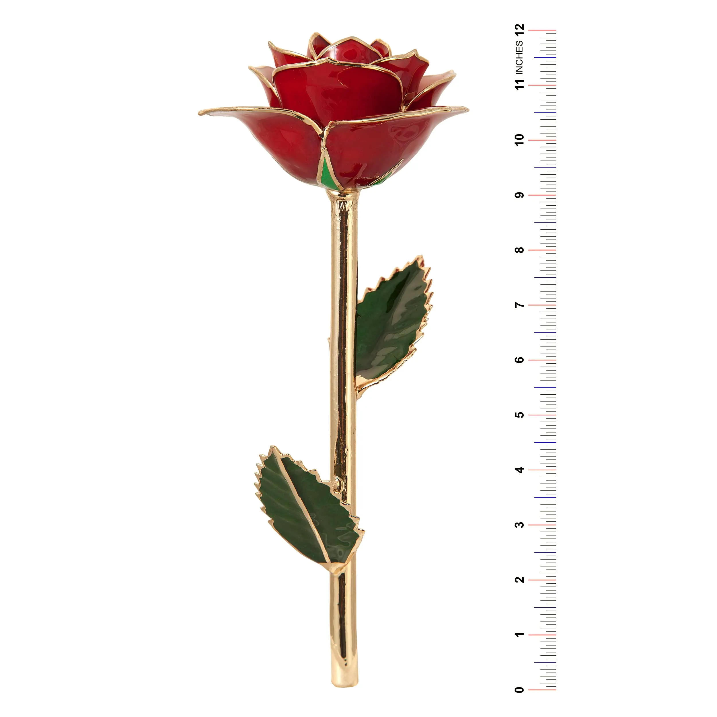 Sweet Cream 24K Gold Dipped Rose